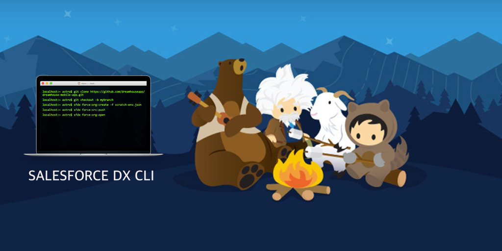 Salesforce DX: Useful CLI Commands